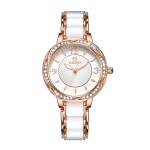 Simple Elegant Diamond Waterproof Girl's Quartz Watch